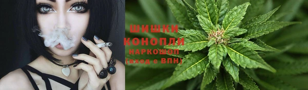 дживик Краснослободск