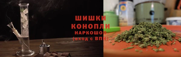 дживик Краснослободск