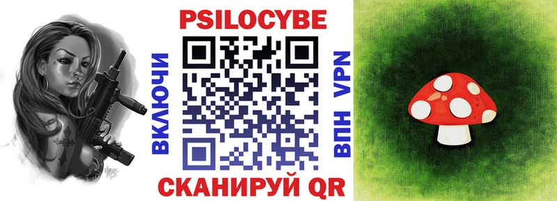 как найти закладки  Нарткала  Псилоцибиновые грибы мухоморы 