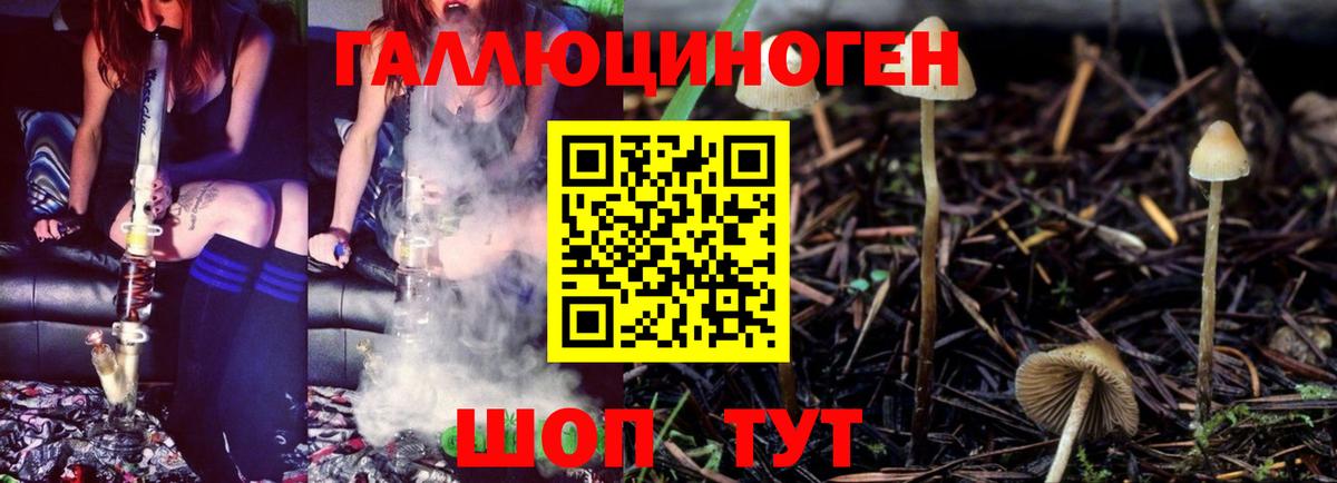 Галлюциногенные грибы MAGIC MUSHROOMS Нарткала