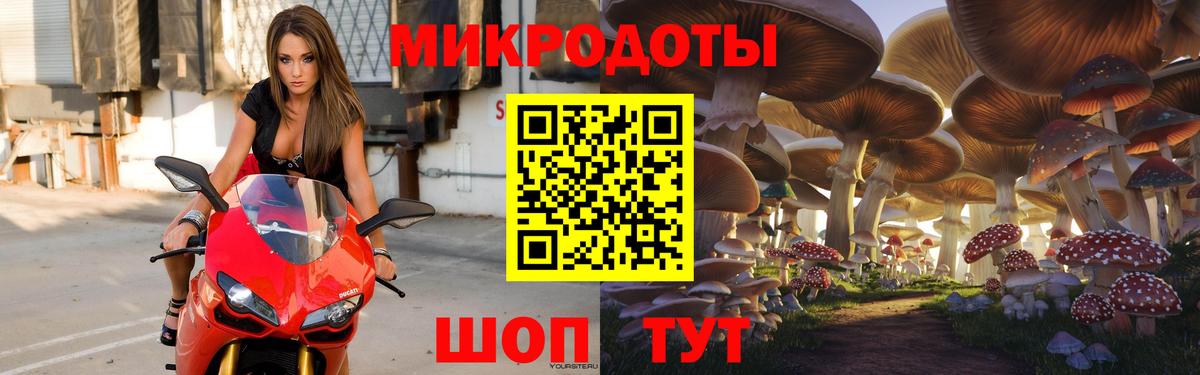 Нарткала  Галлюциногенные грибы ЛСД  Вход с VPN 