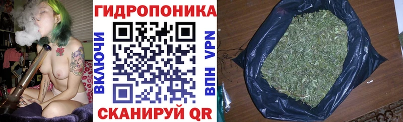 Бошки Шишки Amnesia  Нарткала 